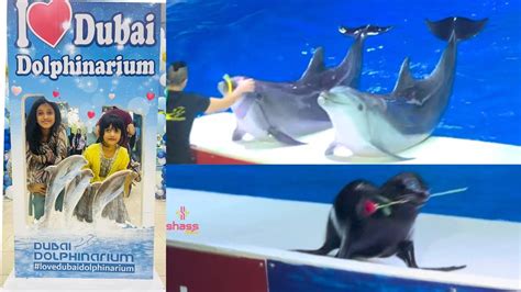 Dolphin Show In Dubai | Dubai Dolphinarium | Dolphinarium | Dolphin Dance | SHASS WORLD 293 ...