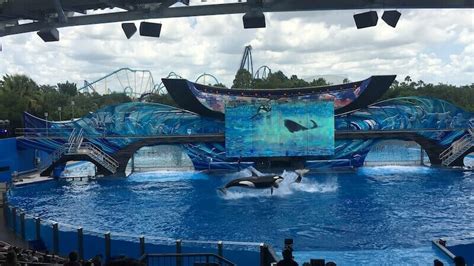 Seaworld Orlando Shows - orlandoplanningguide