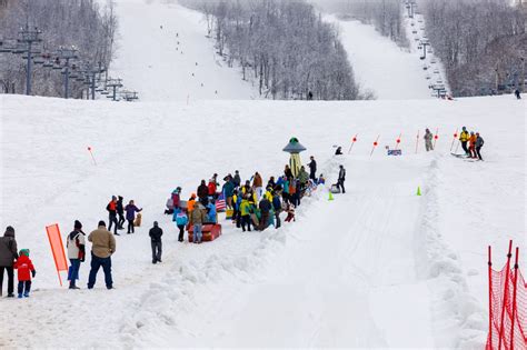 Catamount Hosts First Ever Cardboard Classic Blog Catamount