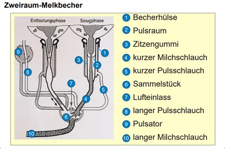 Folie Zwei Raum Melkbecher Beschriften Agrartechnik Stumpi Repetico