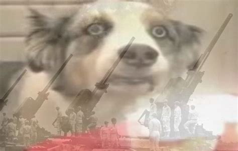 ptsd dogo Blank Template - Imgflip