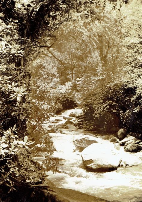 Enhanced search tools will soon make it easier to find tdt obits 9