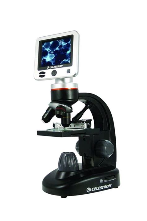 10 Best Electronic Microscopes