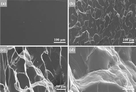 A Sem Images Of The Fracture Surface Of Pure Epoxy Resin Prepared In