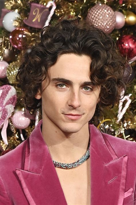 Timothée Chalamet Wonka Pink Suit