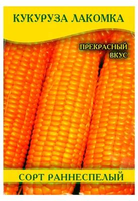Кукуруза сорта фото - 83 картинки