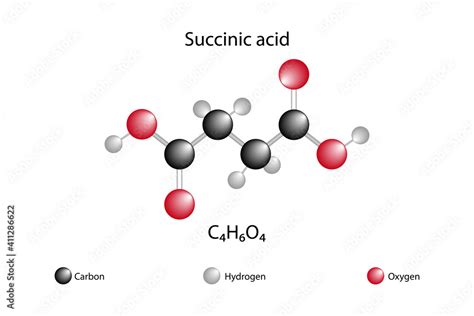 Chemical formula of succinic acid Stock Vector | Adobe Stock