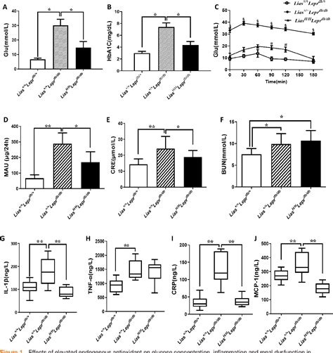 Figure From Overexpression Of Lipoic Acid Synthase Gene Alleviates