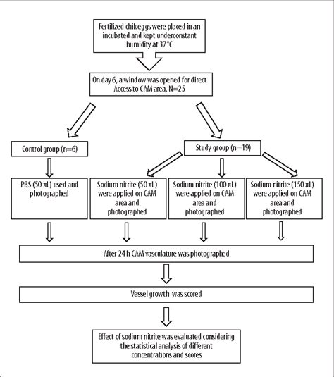 Figure 1 From Sodium Nitrite Provides Angiogenic And Proliferative