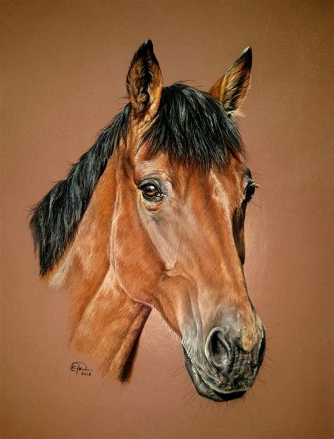 Cheval Trotteur Fran Ais Portrait Pastel Sec Dessin Cheval Portraits