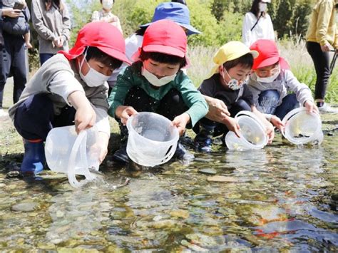 「稚アユ大きく育って」 徳島市の鮎喰川で地元園児ら放流｜徳島の話題｜徳島ニュース｜徳島新聞デジタル