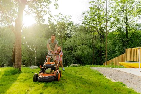 When To First Cut My Grass In The Spring Storables