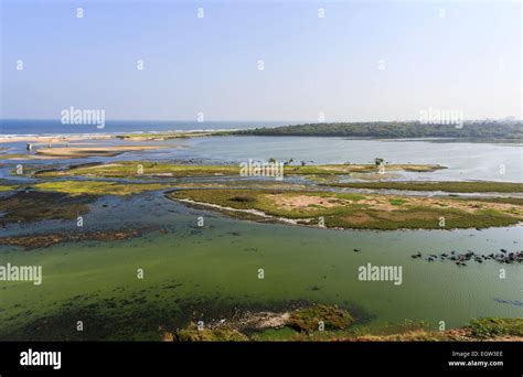 Adyar river hi-res stock photography and images - Alamy