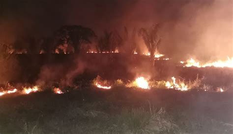 Activan plan de acción para atención de incendios forestales en el