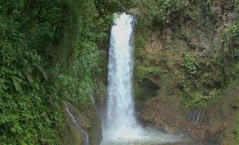 4 Best Costa Rica Cloud Forest Destinations