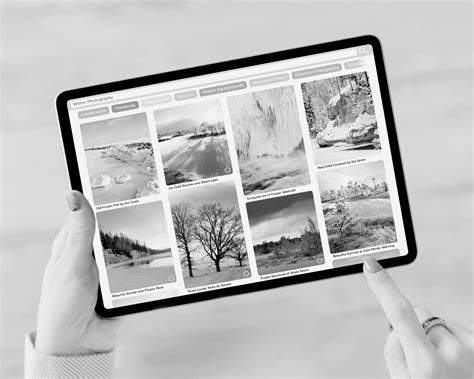 9 Melhores Bancos de Imagens Gratuitos e Sem Direitos Autorais
