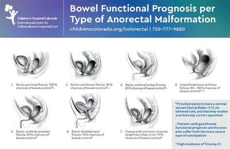 Doctorspenabischoff On Twitter Functional Prognosis According To The