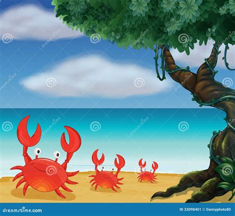 Three Crabs At The Seashore Stock Vector Illustration Of Sand Shore