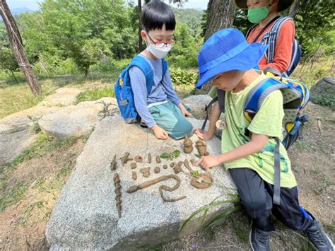 6월 도시숲 어린이 생태학교 대전충남생명의숲