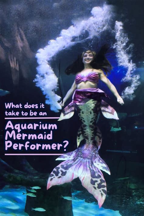 What does it take to be an Aquarium Mermaid Performer?