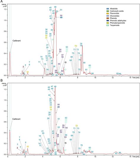 The Representative Base Peak Chromatograms Bpc Of Young A And Download Scientific Diagram