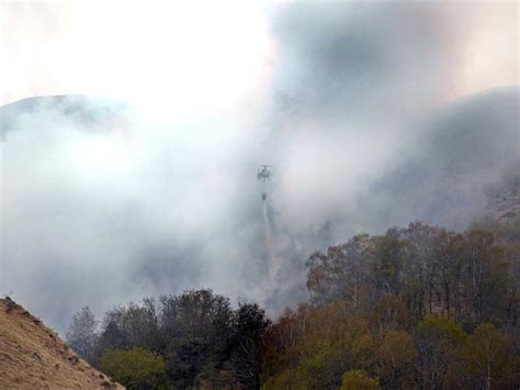 Toscana Nel 2020 Quasi Dimezzati Gli Incendi Boschivi