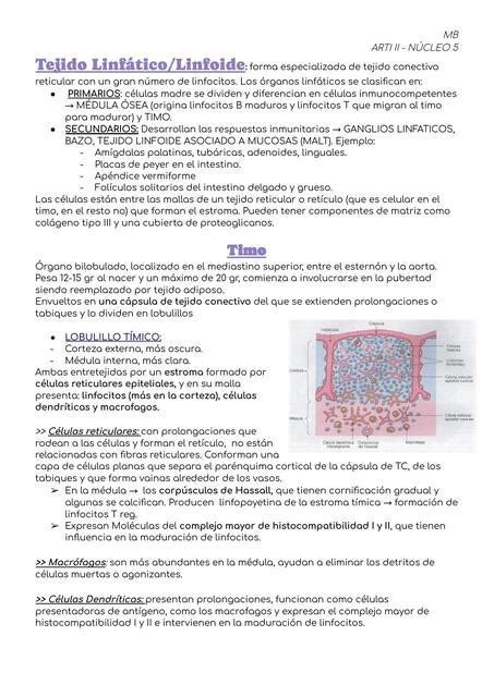 TEJIDO LINFOIDE ARTI II NÚCLEO 5 SISTEMA INMUNITARIO Mauro EB