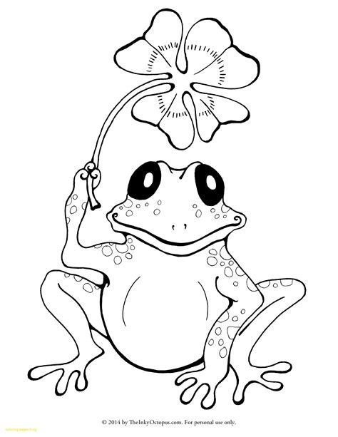 Amphibian Drawing At Getdrawings Free Download