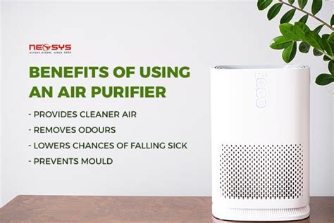 Air Purifier 101 How To Choose Benefits And More Neosys