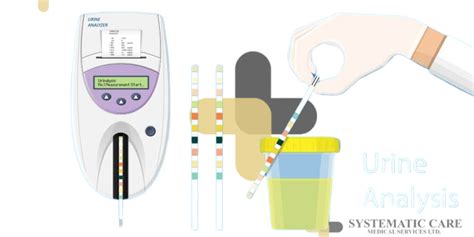 Urinalysis System - SYSTEMATIC CARE MEDICAL SERVICES