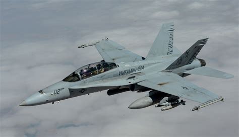 Fa Hornet Free Stock Photo Public Domain Pictures