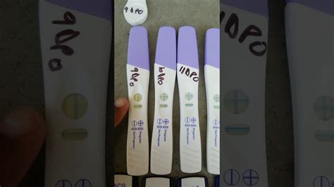 Live Pregnancy Test At 12 Dpo YouTube