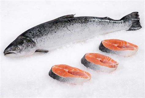 Whole Organic Salmon Fish 1kg - African Market Dubai