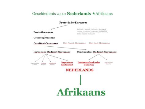 Ppt Geschiedenis Van Het Nederlands Powerpoint Presentation Free