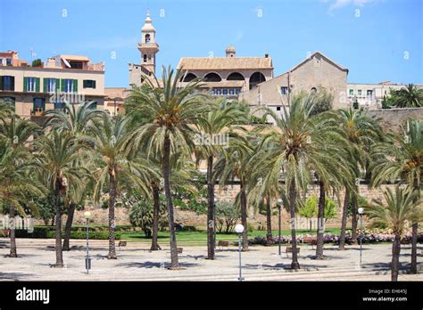 Parc De Mar Hi Res Stock Photography And Images Alamy