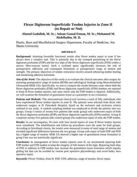 PDF Flexor Digitorum Superficialis Tendon Injuries In Zone II To