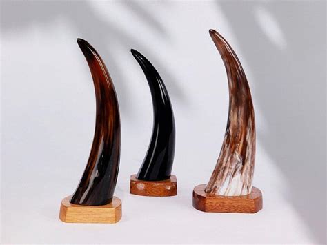 Ankole Tabletop Horn – Interior Wanderer