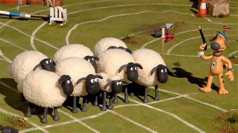 Shaun The Sheep Championsheeps Steeplechase Bbc Iplayer