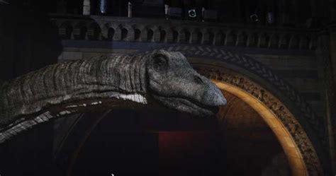 Onsight Relies On Mistika For David Attenboroughs Natural History Museum Alive 3d Below The