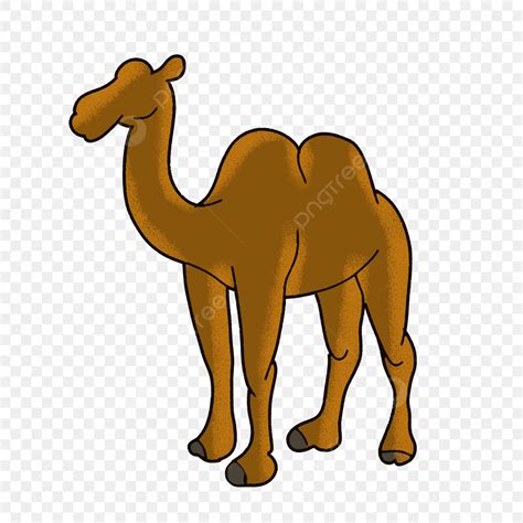 unta lucu unta arab eid png transparent clipart image  psd file