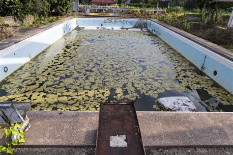 Damaged Old Swimming Pool Stock Image Image Of Ladder 81981163