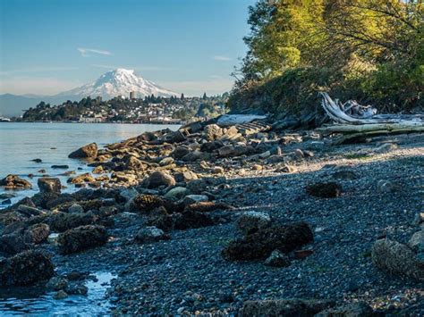 Puget Sound Fishing The Complete Guide