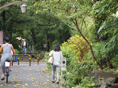 足立区の街散歩 160 足立・葛飾区の下町散歩＋「建築写真」