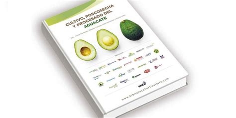 Descarga Gratis El Libro Del Aguacate Actualidad Tecnolog A Hort Cola