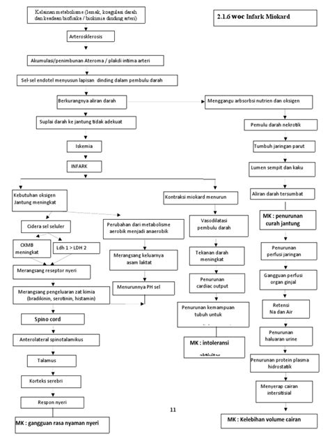 Woc Infark Miokard Pdf