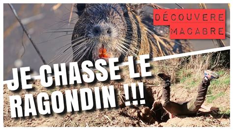 Chasse Aux Ragondins D Couverte Macabre Youtube