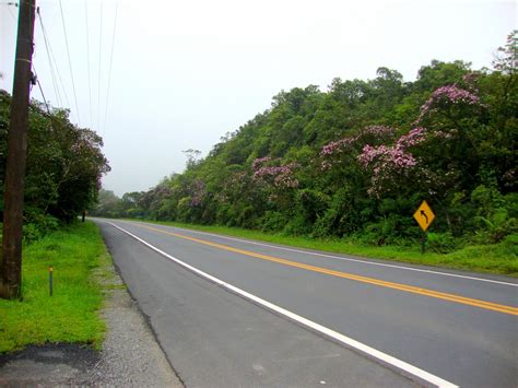 Um Espa O Meu Reserva Biol Gica Do Alto Da Serra De Paranapiacaba