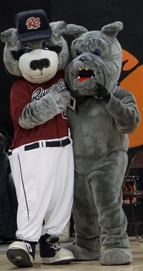 Sacramento River Cats mascot Dinger shocks Vacaville High student with ...