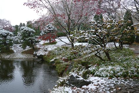 Rheinaue SCHNEE JAP GARTEN DEZ2022 Hohpe Flickr