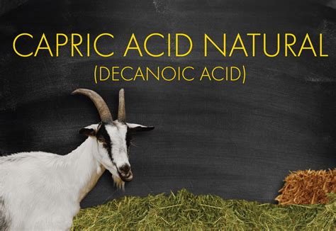 Caproic Acid Natural (Decanoic Acid) - Vigon